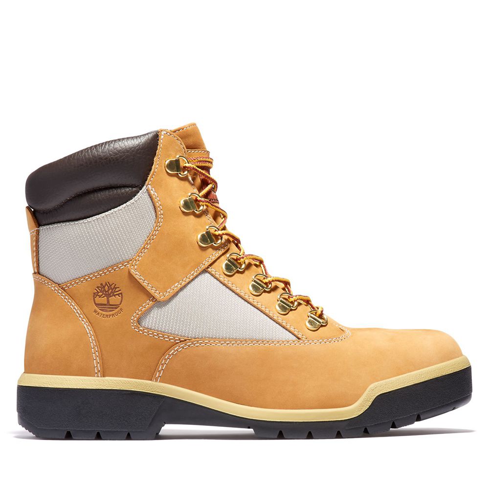 Botas 6-Inch Timberland Argentina Hombre - 6-Inch Waterproof Field - Marrones/Negras - XVOEQK-437